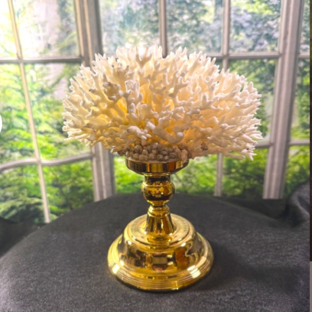 Big natural coral piece vintage